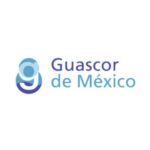 ok-Guascor